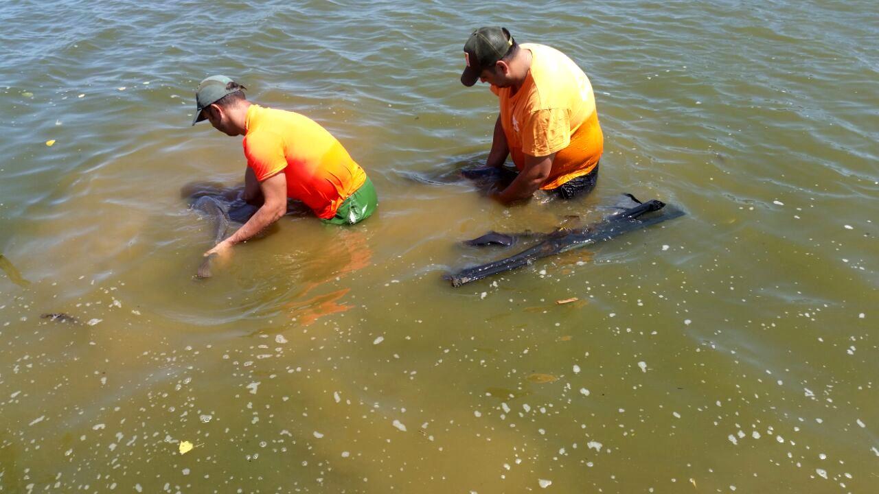 Lacul Teiu 23 - 26 iulie 2015 - l.jpg